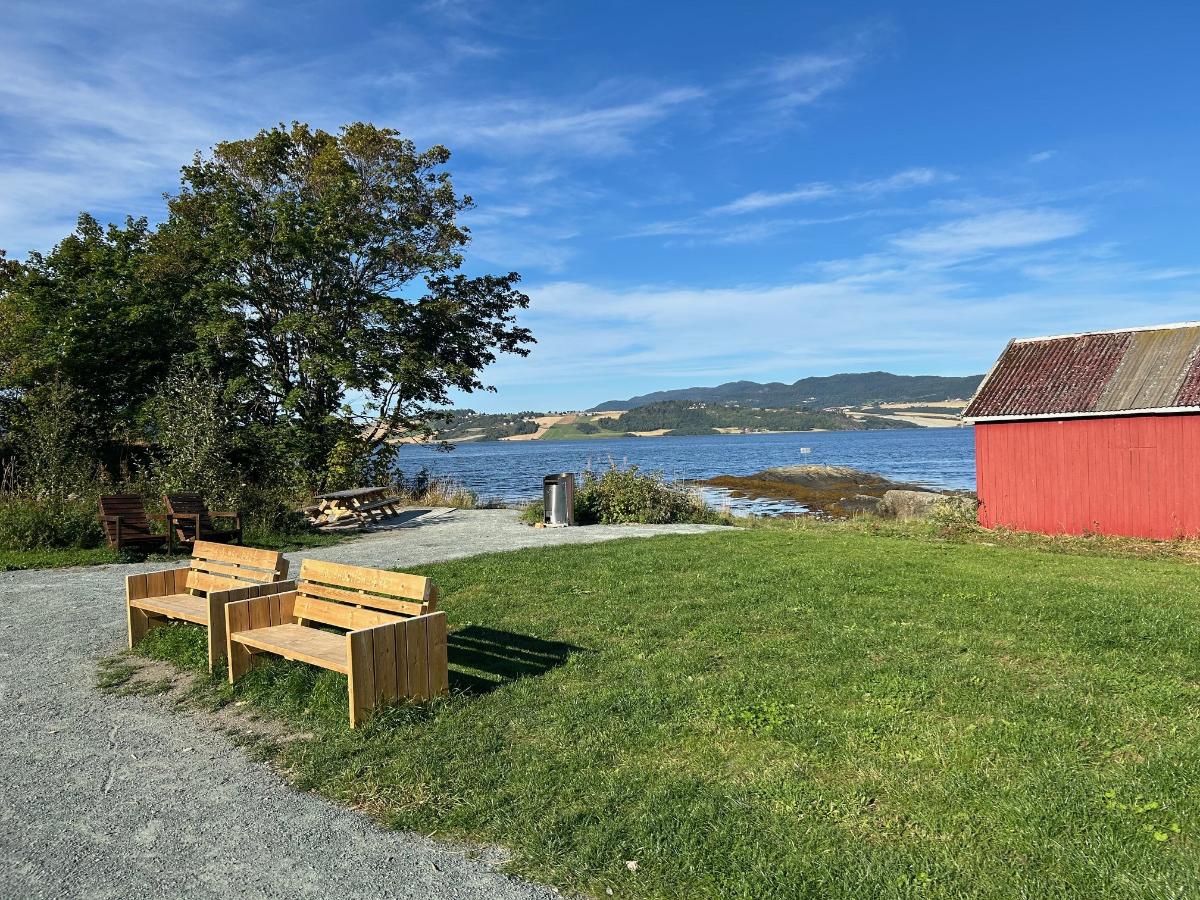 Ølsholmen Skaun.jpg